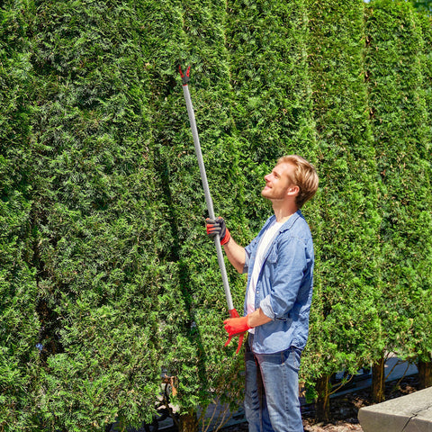 Rootz 1.2m Tree Traps - Pruning Shears - Garden Cutters - Aluminum Handle - Easy Tall Branch Trimming - 120cm x 12cm x 3cm