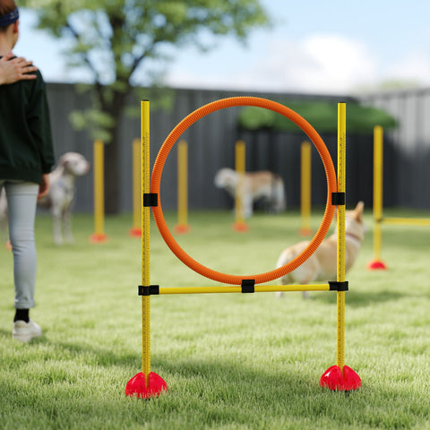 Rootz 3-part Agility Set for Dogs - Dog Training Equipment - Dog Skills Booster - Safe & Portable - Versatile Use - 83cm x 19.5cm x 103cm