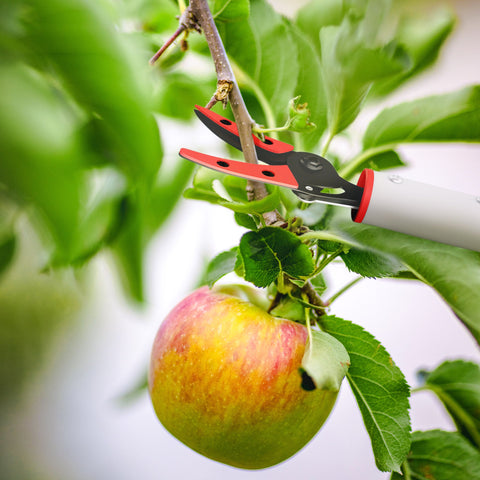 Rootz 1.2m Tree Traps - Pruning Shears - Garden Cutters - Aluminum Handle - Easy Tall Branch Trimming - 120cm x 12cm x 3cm