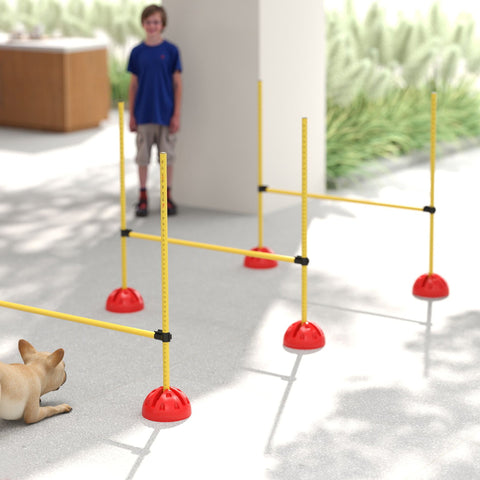 Rootz 4-Part Dog Agility Set - Jumping Training - Obedience Training - Enhances Mobility - 124cm x 19.5cm x 103cm