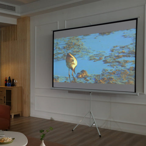 Rootz Projection Screen - Cinema Screen - Presentation Display - Adjustable Height - 203cm x 152cm