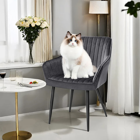 Rootz Elegant Dining Chair - Armchair - Velvet Seat - Comfort Padding - 62.5cm x 60cm x 85cm - Supports up to 110kg