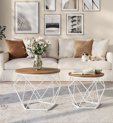 Rootz Coffee Table Set - 2 Piece Nesting Tables - Side Tables - Removable Tabletop - Chipboard & Steel - 50x40cm & 40x36cm