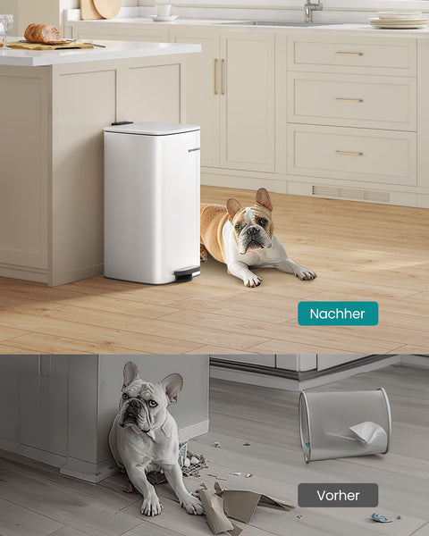 Rootz Cloud White Trash Can - Waste Bin - Garbage Can - Stainless Steel - PP Plastic - 34cm x 28.5cm x 40.4cm - 20L - 67.8cm total height