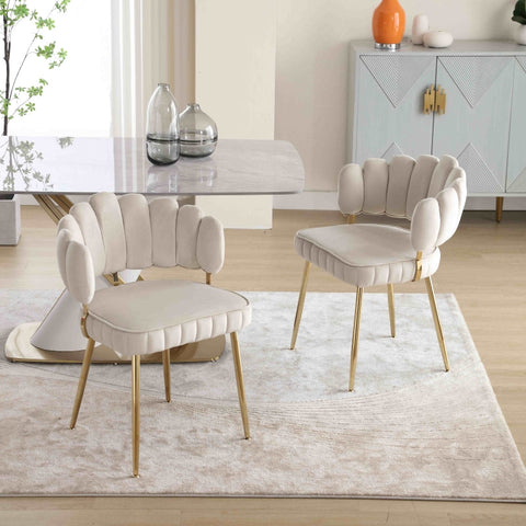 Rootz 2 Piece Velvet Dining Chair Set - Soft Velvet Chairs - Ergonomic Seating - Lumbar Support - 56cm x 58cm x 78cm