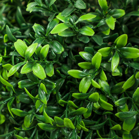 Rootz 2-Set Artificial Busic Plants - Faux Greenery - UV-Protected Topiary - Year-Round Beauty - Total Height 91.6cm, Pot Ø18 x 14h cm