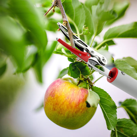 Rootz 1.8m Tree Traps - Pruning Shears - Long-Stemmed Garden Scissors - Lightweight Aluminum Handle - 180cm x 10cm x 3cm