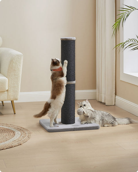Rootz Scratching Tree - Cat Climbing Tower - Pet Play Tower - Durable Sisal - 50cm x 40cm x 85cm - Black and Grey