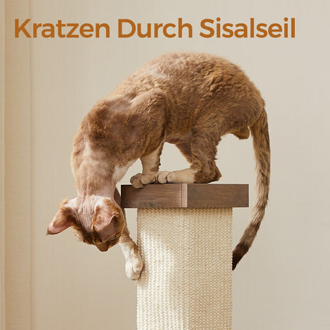 Rootz Scratching Post - Cat Scratcher - Pet Tree - Durable Sisalsil - 38cm x 38cm x 73cm
