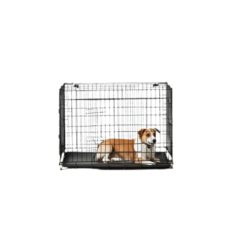 Rootz Dog Cage - Foldable Dog Box - 2 Doors - Portable Pet Transport - 92.5 x 57.5 x 64 cm