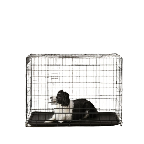 Rootz Foldable Dog Cage - Dog Box - Training Crate - Comfortable & Durable - 106cm x 77.5cm x 70cm