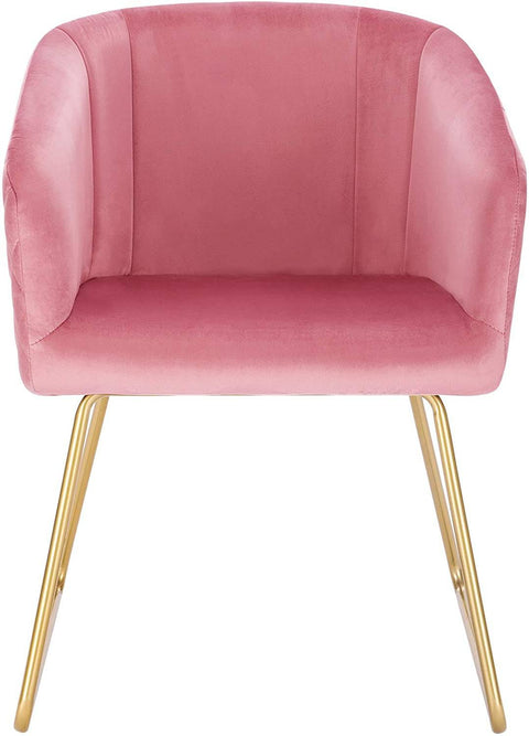 Rootz Velvet Dining Chair - Elegant Chair - Comfortable Seating - Ergonomic Design, Stylish, Durable - 76.5cm x 43cm x 41cm