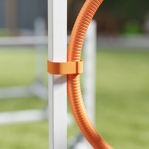 Rootz 4-Part Dog Agility Equipment Set - Training Kit - Exercise Gear - Height Adjustable - Fir Wood & Plastic - 72cm x 40cm x 69cm