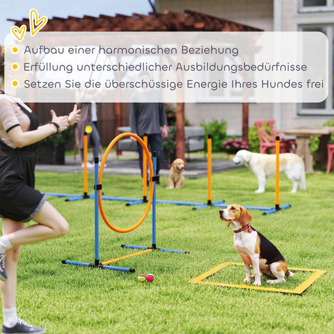 Rootz 7-Part Agility Equipment Set for Dogs - Training Course - Fitness Games - Transport Bag - Jump Hurdles 93cm x 72cm x 92cm