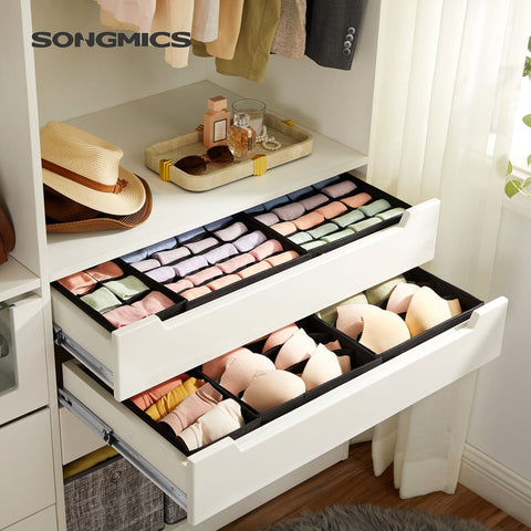 Rootz 8 Piece Set Underwear Organizer - Lingerie Storage - Bra and Panty Organizer - Non-Woven Fabric - 32cm x 32cm x 10cm