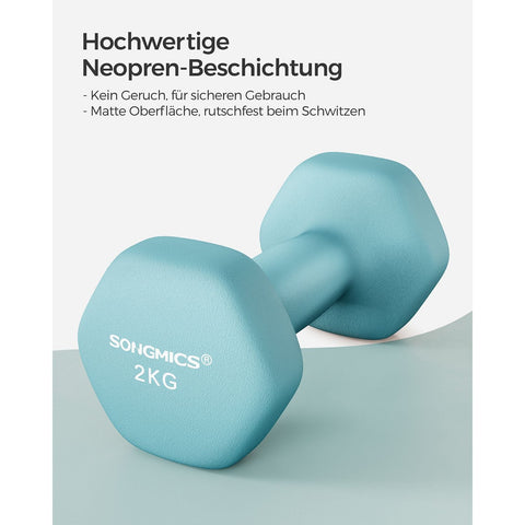 Rootz Turquoise 2 Piece Dumbbells Set - Light Blue Weights - Neoprene Coating - Cast Iron - 16cm x 8cm - 10cm handle