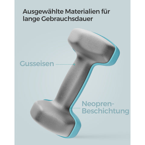 Rootz Turquoise 2 Piece Dumbbells Set - Light Blue Weights - Neoprene Coating - Cast Iron - 16cm x 8cm - 10cm handle