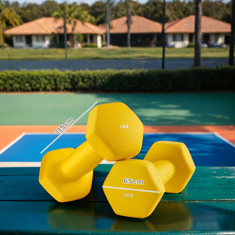 Rootz Dumbbell Set - Free Weights - Exercise Weights - Space-Saving Strength Training - 2 x 1kg - Cast Iron with Vinyl Coating