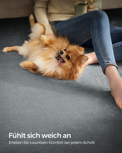 Rootz Living Room Rug - Area Rug - Decorative Rug - Non-Slip Rug - Polyester Felt TPR - Dove Gray - 43cm x 33cm x 9cm