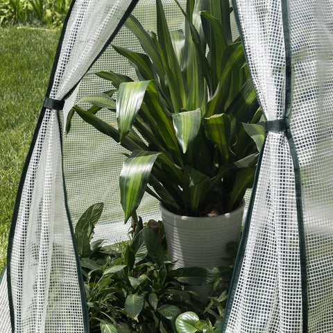 Rootz Conical Greenhouse - Garden Greenhouse - Plant Protector - Weather-Resistant, Durable Construction, Optimal Ventilation - 160cm x 180cm x 160cm