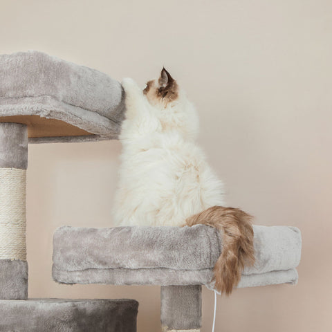 Rootz Cat Scratching Post - Climbing Tree - Interactive Cat Tower - Height 206cm - 2 Cozy Caves - Sisal Poles - 60cm x 50cm x 206cm