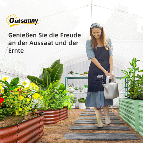 Rootz 6x3x2 m Greenhouse - Walk-in Garden House - Plant Shelter - UV Resistant - 595cm x 300cm x 200cm