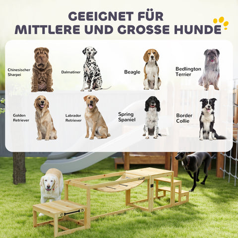 Rootz Dog Agility Set - Training Structure - Skills Enhancement - Spruce Wood - Bridge/Platform/Stairs - 120cm x 50cm x 56cm