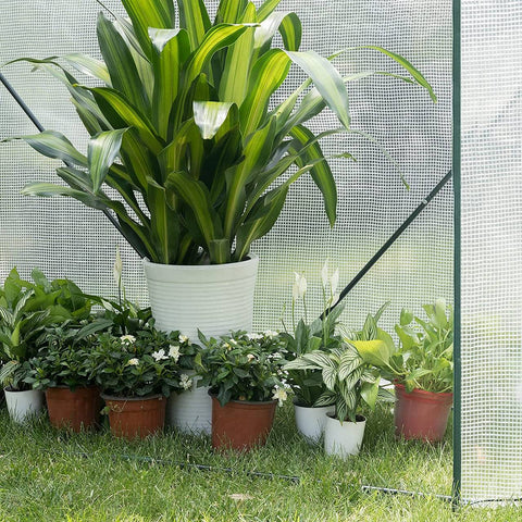 Rootz Film Greenhouse - Garden Greenhouse - Plant Shelter - Climate Controlled, Durable Construction, Easy Assembly - Powder-Coated Steel Pipes + PE Foil - 200cm x 77cm x 146/169cm