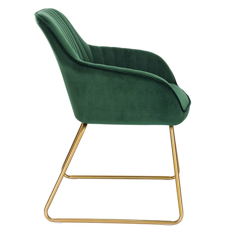 Rootz Velvet Dining Chairs with Armrests - Gold Metal Sled Base - Luxurious & Ergonomic - Exceptional Comfort, Durable Design, Versatile Use - 45cm x 44cm x 78.5cm