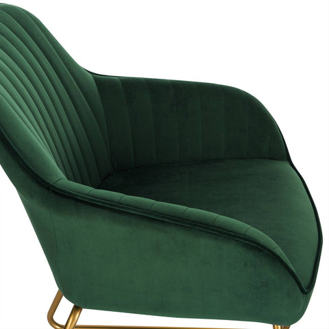 Rootz Velvet Dining Chairs with Armrests - Gold Metal Sled Base - Luxurious & Ergonomic - Exceptional Comfort, Durable Design, Versatile Use - 45cm x 44cm x 78.5cm