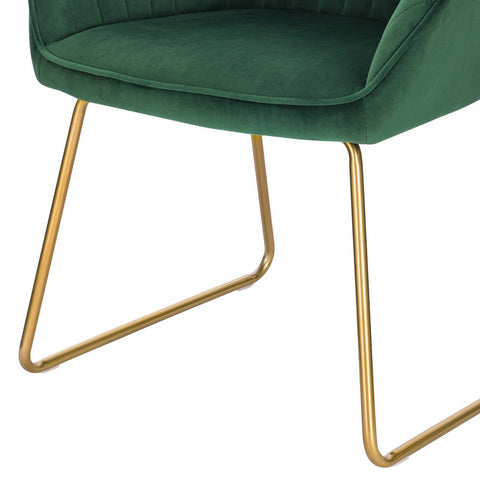 Rootz Velvet Dining Chairs with Armrests - Gold Metal Sled Base - Luxurious & Ergonomic - Exceptional Comfort, Durable Design, Versatile Use - 45cm x 44cm x 78.5cm