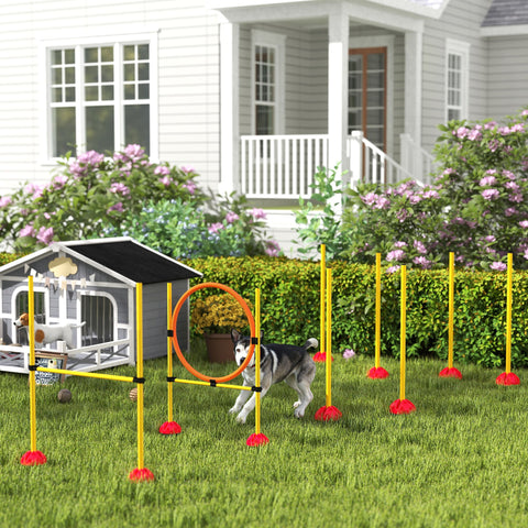 Rootz 3-part Agility Set for Dogs - Dog Training Equipment - Dog Skills Booster - Safe & Portable - Versatile Use - 83cm x 19.5cm x 103cm