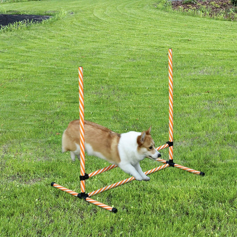 Rootz Dog Agility Set - 6 Piece Hurdles - Pet Training Equipment - Adjustable Height - Carry Bag Included - Promotes Bonding - 97.5cm x 67cm x 93cm