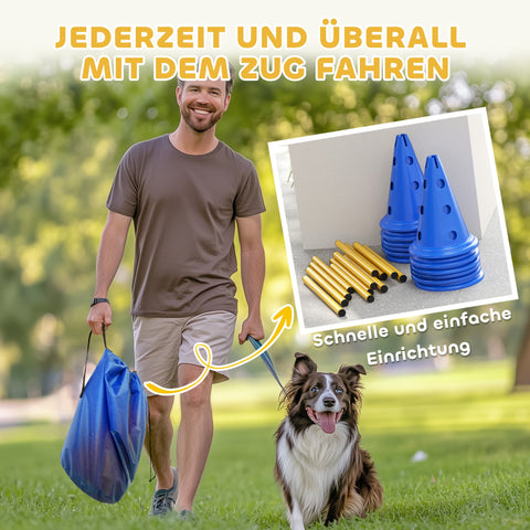 Rootz Dog Agility Set – 6-Piece Training Hurdle Kit – Obstacle Course, Exercise Set – Improves Coordination – Blue/Yellow – 80x22.5x30cm