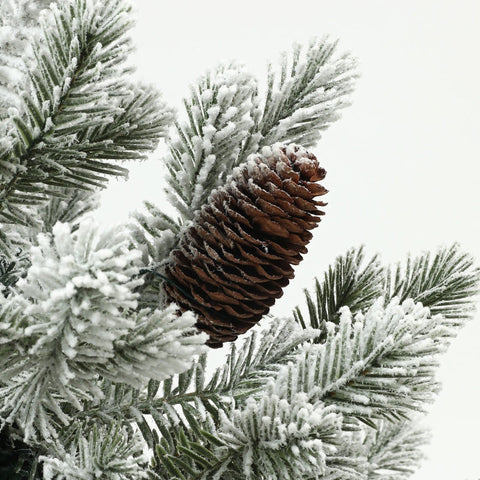 Rootz Christmas Tree - Artificial Christmas Pine - Snowy Ends - Flame Retardant - 100cm x 60cm - Pine Cones - Festive Decorations.