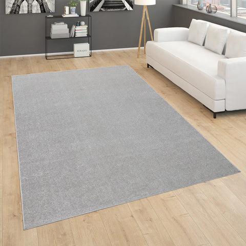 Monochromatic Rug – Simple Elegance – Soft & Durable – Easy Care – Versatile Style