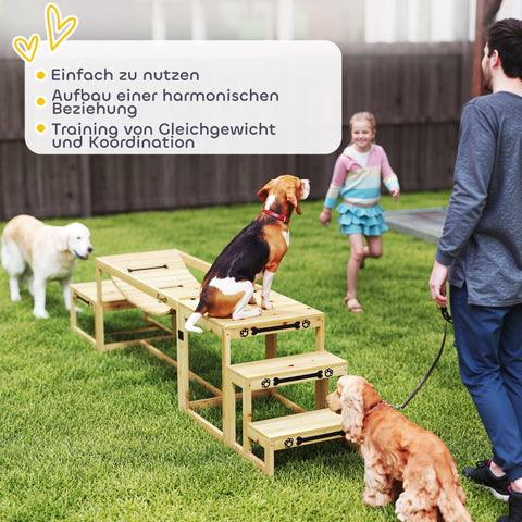 Rootz Dog Agility Set - Training Structure - Skills Enhancement - Spruce Wood - Bridge/Platform/Stairs - 120cm x 50cm x 56cm