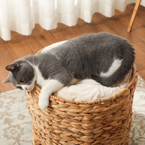 Rootz Scratching Barrel Cat Tower - Cat Condo - Cat Tree - Cozy Caves - 40cm x 50cm x 22cm - Ideal for Cats Up to 3.5kg