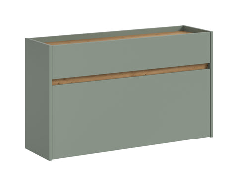 Rootz Shoe Cabinet - Shoe Organizer - Storage Unit - Sustainable Wood - 61x110x32 cm - Green and Brown