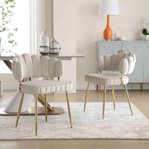 Rootz 2 Piece Velvet Dining Chair Set - Soft Velvet Chairs - Ergonomic Seating - Lumbar Support - 56cm x 58cm x 78cm