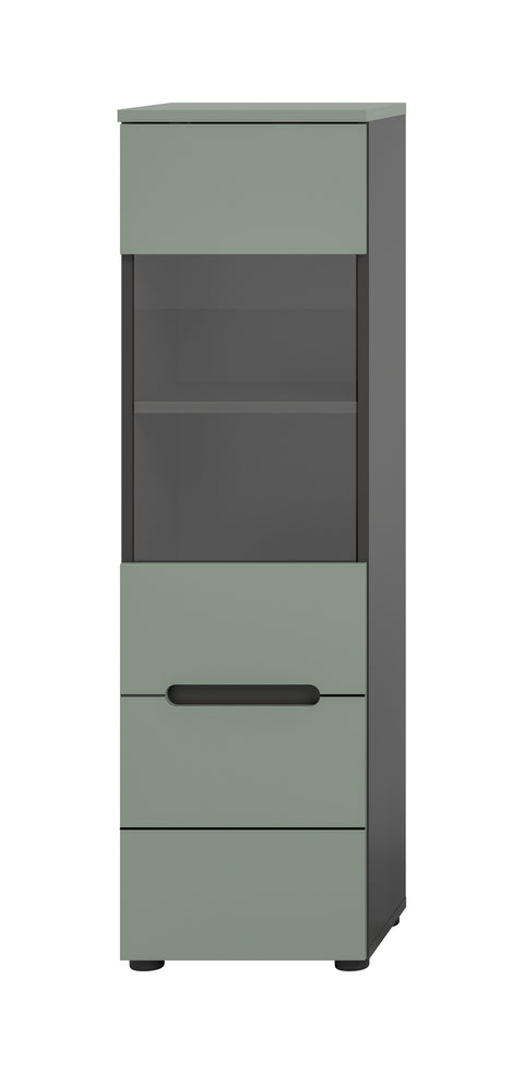 Rootz Display Cabinet - Showpiece Case - Exhibit Shelf - Stylish Presentation - 36x125x33cm - Green, Quick & Easy Installation