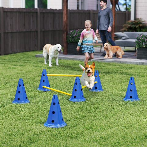 Rootz Dog Agility Set - Training Hurdle Set - Canine Fitness Kit - Boosts Coordination - Blue/Yellow - 80x22.5x30cm Adjustable