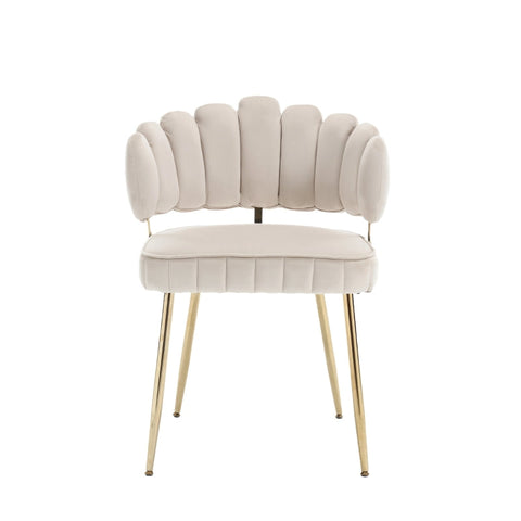 Rootz 2 Piece Velvet Dining Chair Set - Soft Velvet Chairs - Ergonomic Seating - Lumbar Support - 56cm x 58cm x 78cm