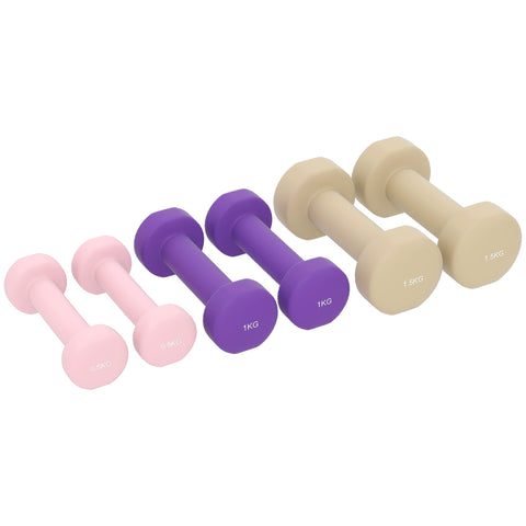 Rootz Dumbbell 6 Set with Suitcase - Weights - Adjustable for Home & Gym - Space-Saving - 43x18x7.5 cm - Dumbbells: Pink and Purple