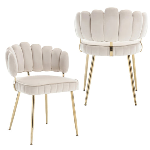 Rootz 2 Piece Velvet Dining Chair Set - Soft Velvet Chairs - Ergonomic Seating - Lumbar Support - 56cm x 58cm x 78cm