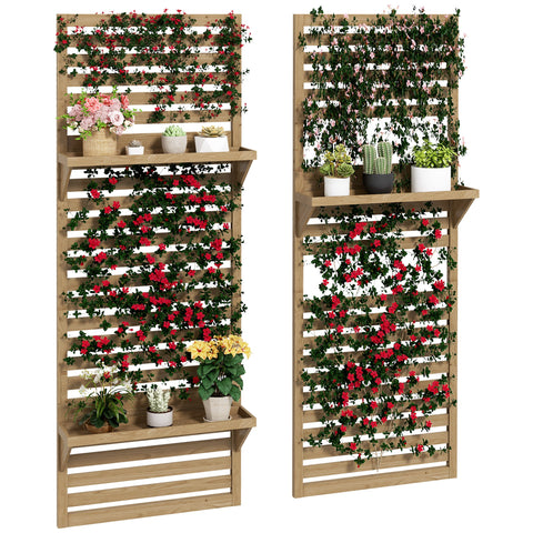 Rootz 2 Piece Indoor Plant Stands - Flower Display Stands - Plant Shelves - Natural Wood, Space-Saving Design, 60x18x170cm