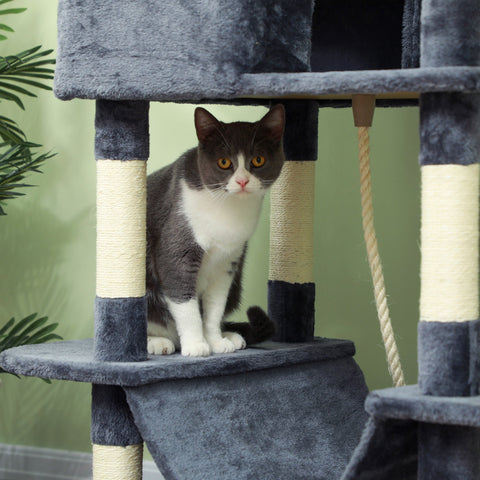 Rootz 206 cm Cat Tower - Scratching Tree - Activity Center - Sisal Trunks - Spacious Condos - 60L x 50B x 206H cm - Grey, White