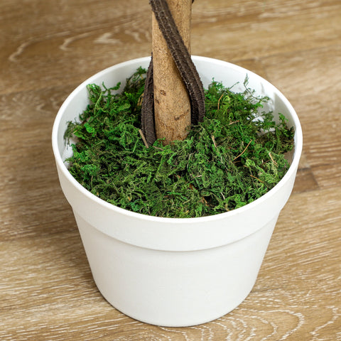 Rootz Artificial Tree - Art Plant - Fake Plant - Low Maintenance - Ø18 x 90H cm