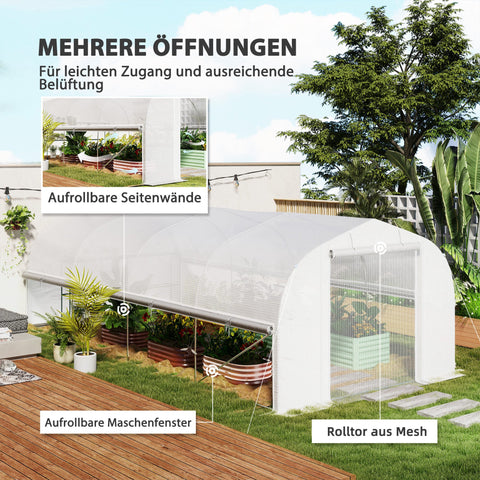 Rootz 6x3x2 m Greenhouse - Walk-in Garden House - Plant Shelter - UV Resistant - 595cm x 300cm x 200cm