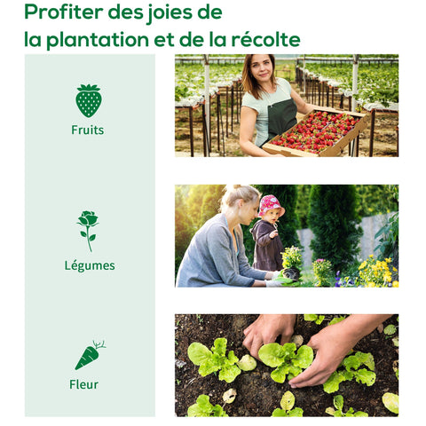 Rootz Garden Tunnel Greenhouse - Plant Shelter - Weatherproof Cover - UV Protection - 3m x 2m x 2m Reinforced Steel Frame